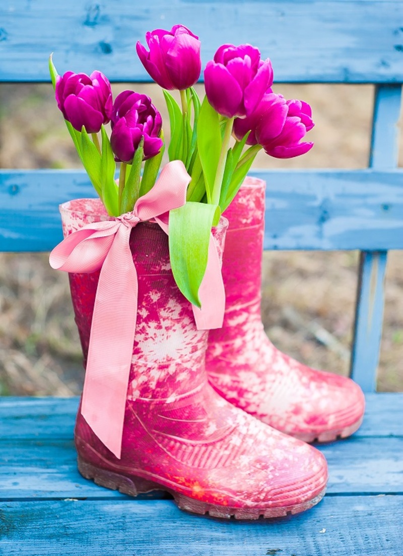 flowers / which flowers