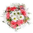 This bouquet, handcrafted by a local Bexley florist, radiates the gentle exuberance of spring in the heart of the borough. At its center, crisp white daisies with luminous green eyes are clustered with plush, coral-pink carnations, their ruffled petals forming a soft nest of color and emotion. Airy gypsophila winds elegantly throughout, casting the illusion of tiny white stars dancing amid the blossoms. Some stems of blush-tinged alstroemeria, not yet fully opened, hint at the excitement of new beginnings, while silvery eucalyptus leaves and rich greenery peek through for contrast and structure. The bouquet's harmonious round shape makes it both visually balanced and emotionally uplifting-ideal for celebrating a loved one's birthday, marking a special anniversary, or simply sending comfort to a friend in Bexley Village. Each element is carefully chosen for texture and fragrance, so the entire arrangement feels like an embrace: soft, fresh, and filled with hope. Whether placed in a hallway on Hurst Road or brightening a morning in Barnehurst, this arrangement captures the spirit of Bexley and the expertise of local floral artists, offering a sensory reminder that each day can hold unexpected moments of beauty.